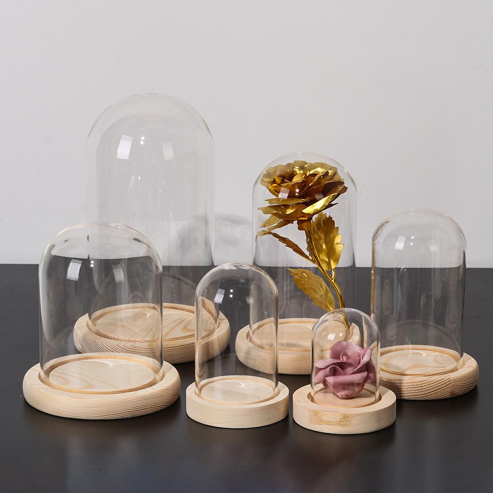 Fairy Lights Plants Transparen - đánh giá và giá Reusable Bottle
