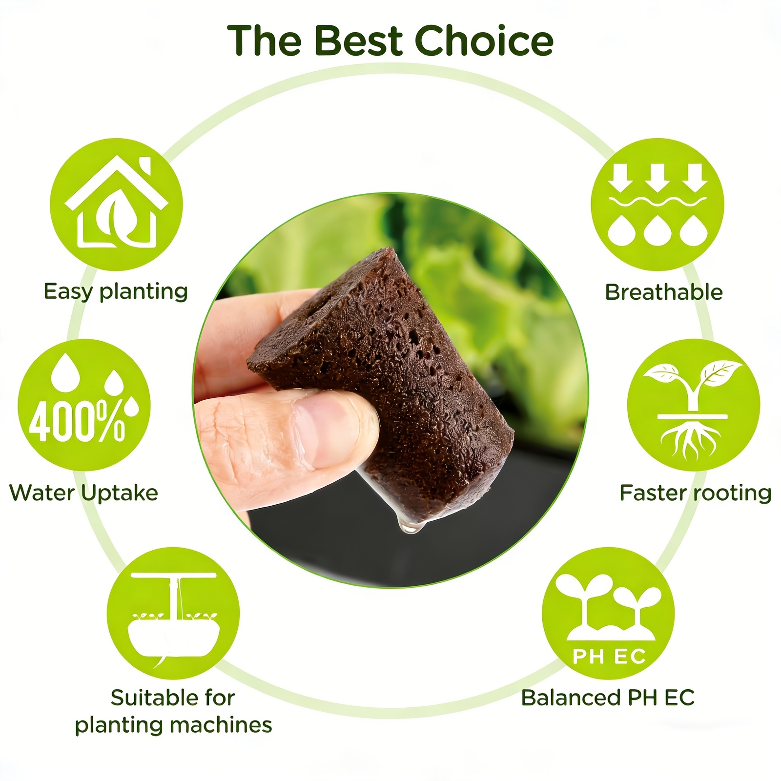 Garden Covering Grow Sponge St - đánh giá và giá Eco Sponge
